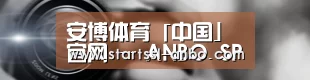 公司动态