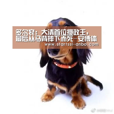 多尔衮:大清首位摄政王,最后从马背摔下而死-安博体育官网下载(图1) 安博体育官网下载